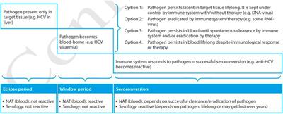 Non-Standard Risk Donors and Risk of Donor-Derived Infections: From Evaluation to Therapeutic Management